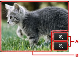 Imagen: pantalla LCD